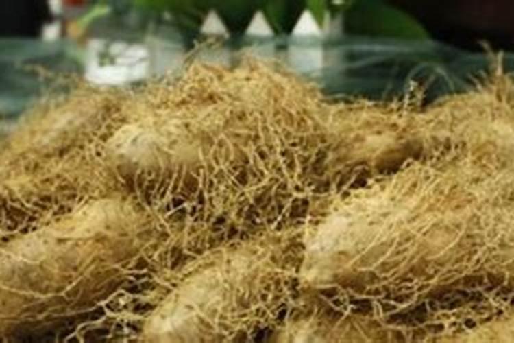 毛薯怎么种才能高产