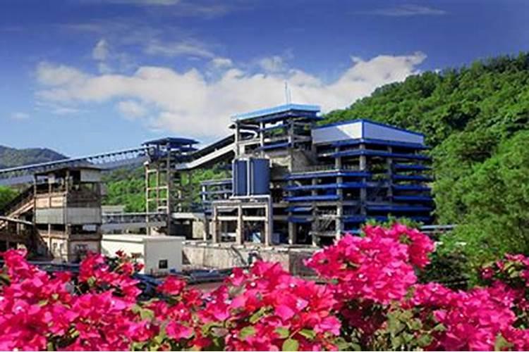 陕西瀚洋惠丰农业科技有限公司生产的颗粒水溶肥追四季豆好吗百度知 ...