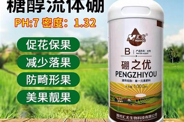 种葡萄土壤为什么缺硼肥