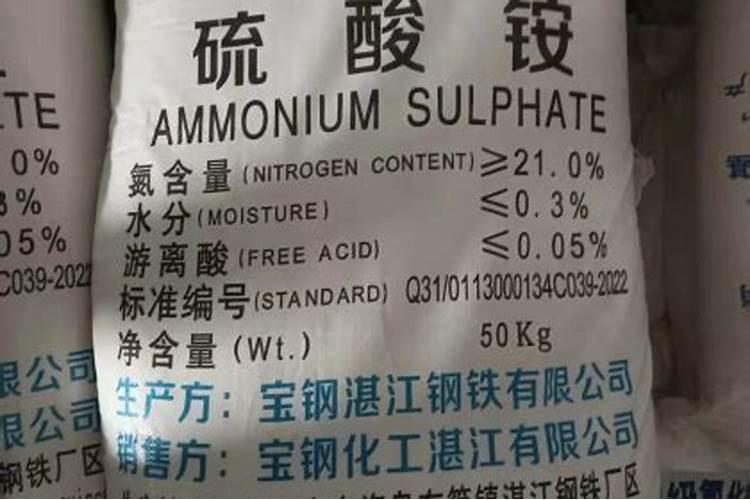 一亩地能产多少玉米