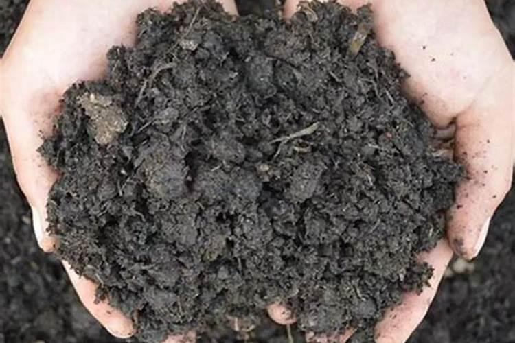 芭芭农场哪种肥料不属于有机肥料？