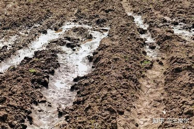 过多施用化肥有什么危害？