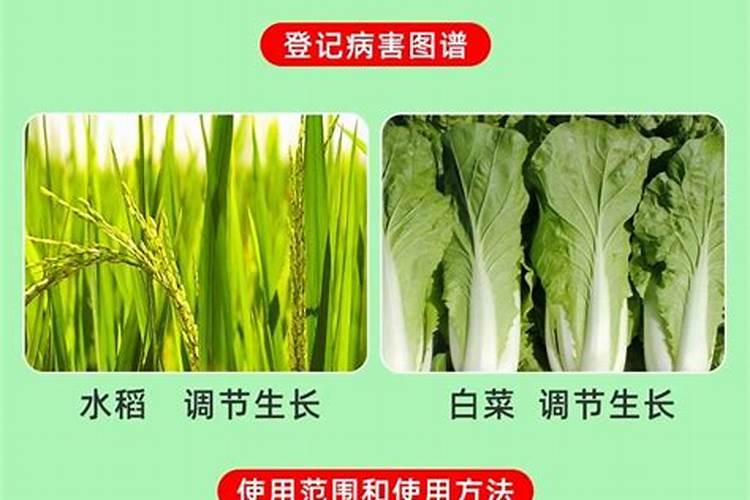 芸苔素内酯在水稻上用量