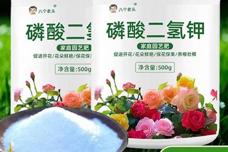 中国最好的叶面肥