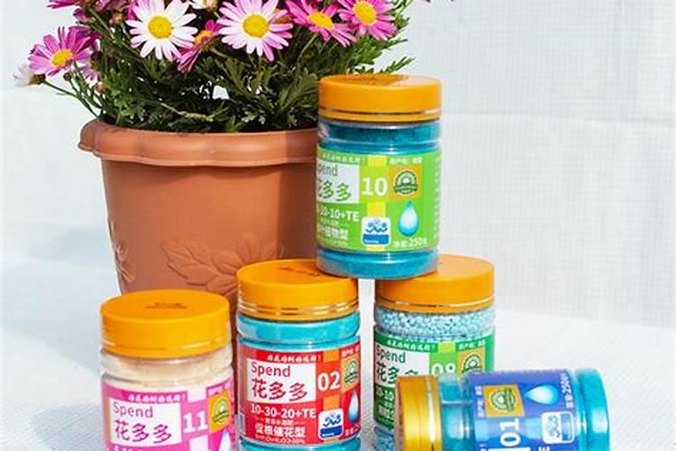 多肉植物施什么肥最好