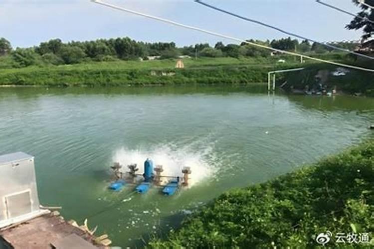 螃蟹养殖调水培藻的肥料有没有国家标准？