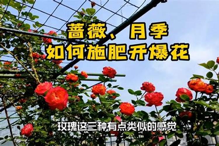 怎样自制磷肥