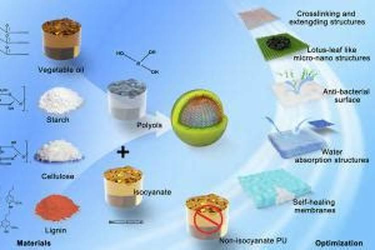 控释肥是什么意思 控释肥和缓释肥的区别