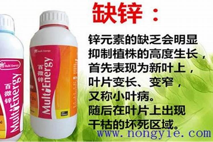 作物缺锌有何症状,锌肥对植物的效果