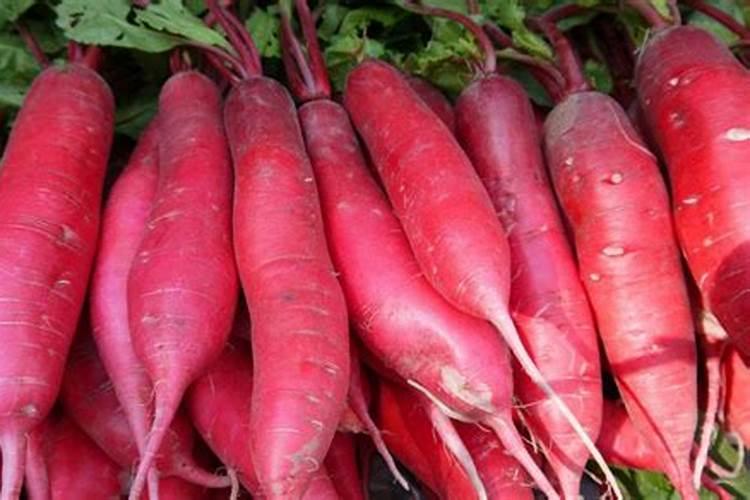 红萝卜上什么肥料好