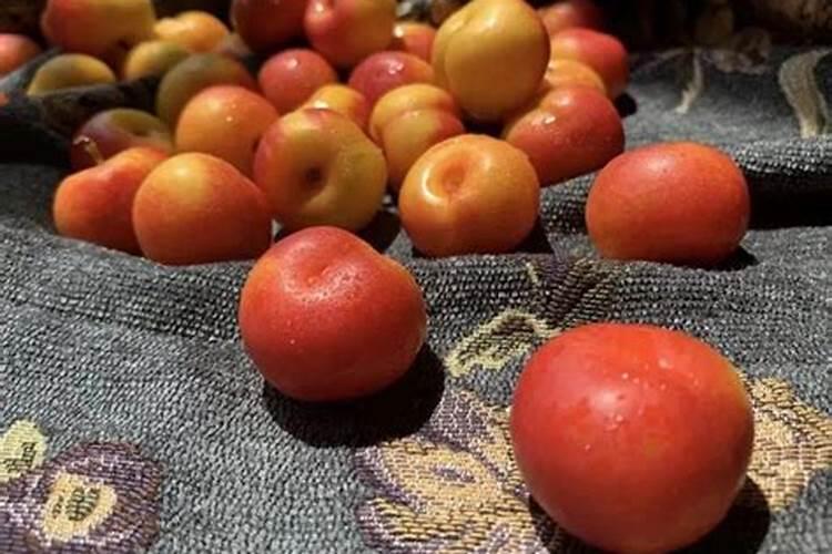 在农作物的生长的时候,它们时怎么补充微量元素的呢？