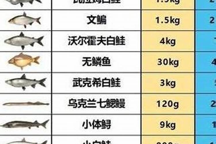 刚移栽的小番茄苗能浇鱼蛋白吗