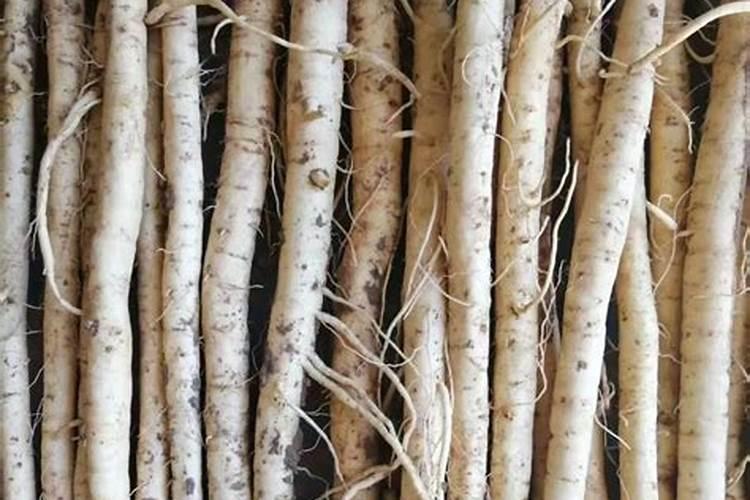 中药材苗期常用除草剂