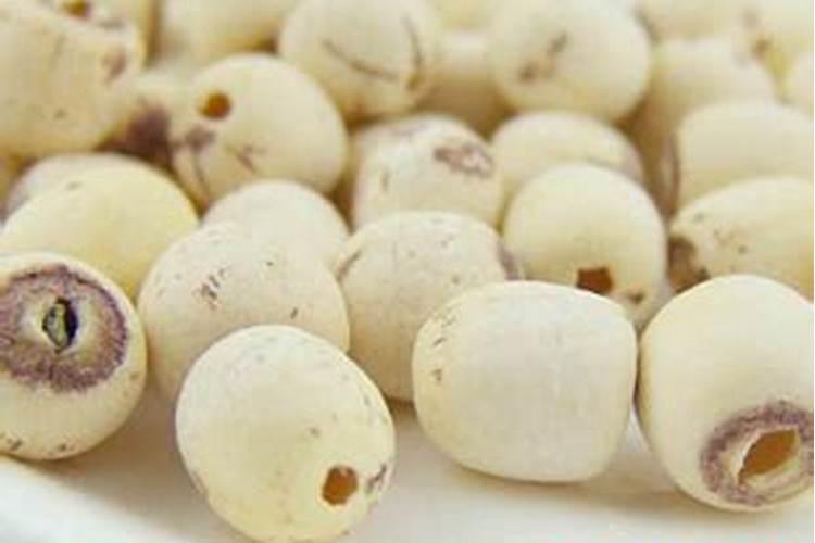 太空莲怎样种植