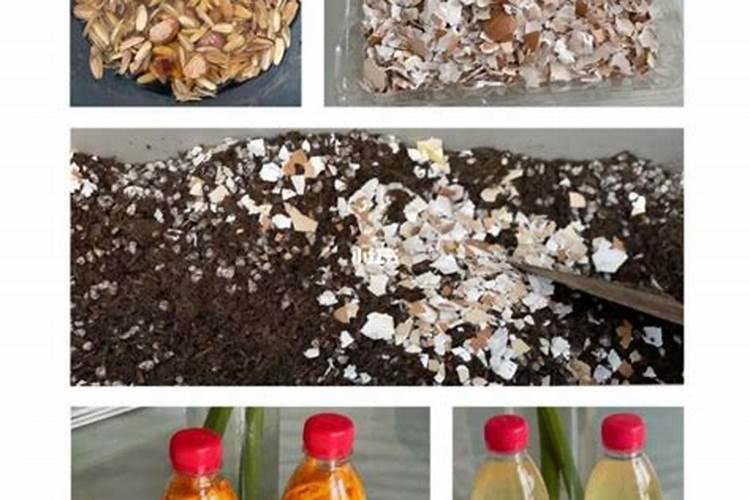 在家怎样自制磷肥 自己在家如何制作磷肥