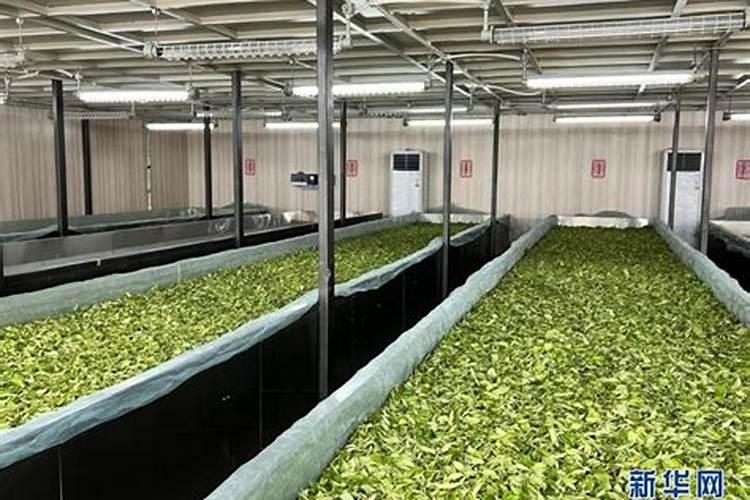 赫芙姿是正规护肤品吗安全吗