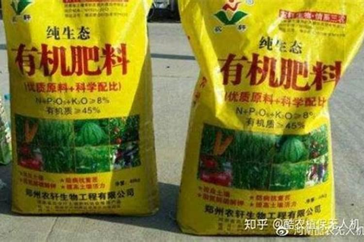 草莓冲什么能增加甜度