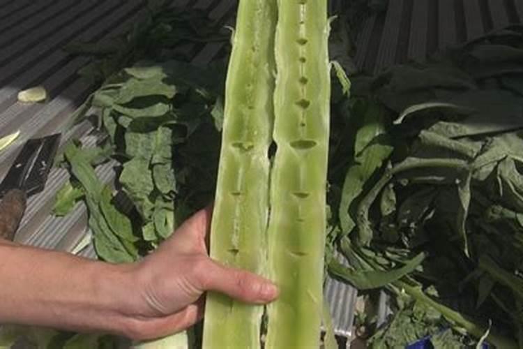 什么因素造成莴笋空心和开裂？