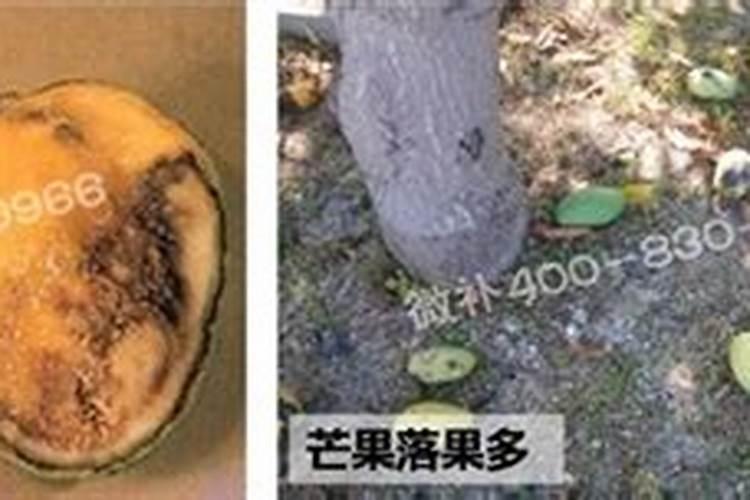 草甘膦加入柴油或洗衣粉可以提高药效是真的么？