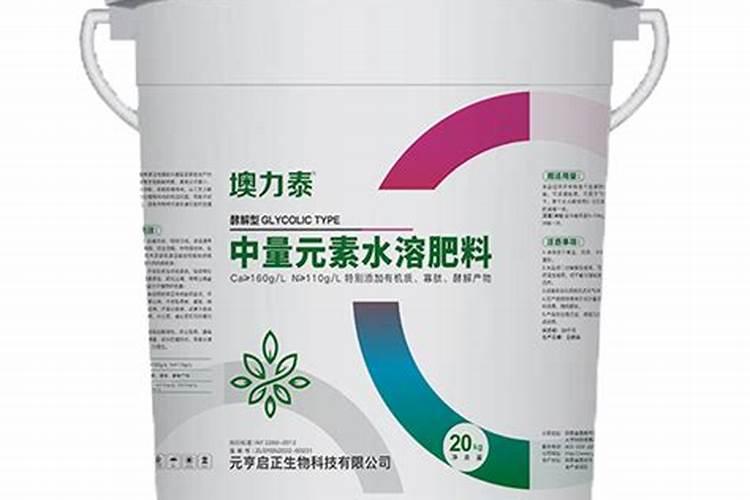 如何提高沃柑甜度和品质 沃柑高产种植技术