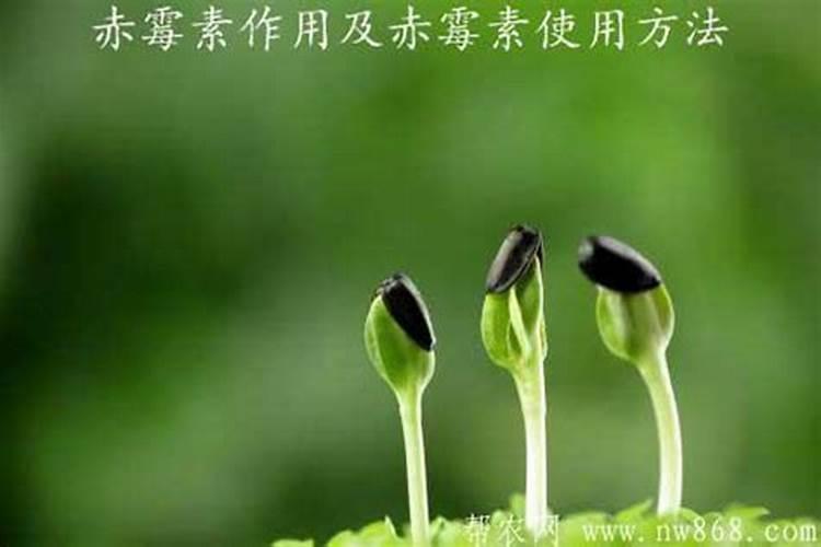 920能和流体硼混和用吗？