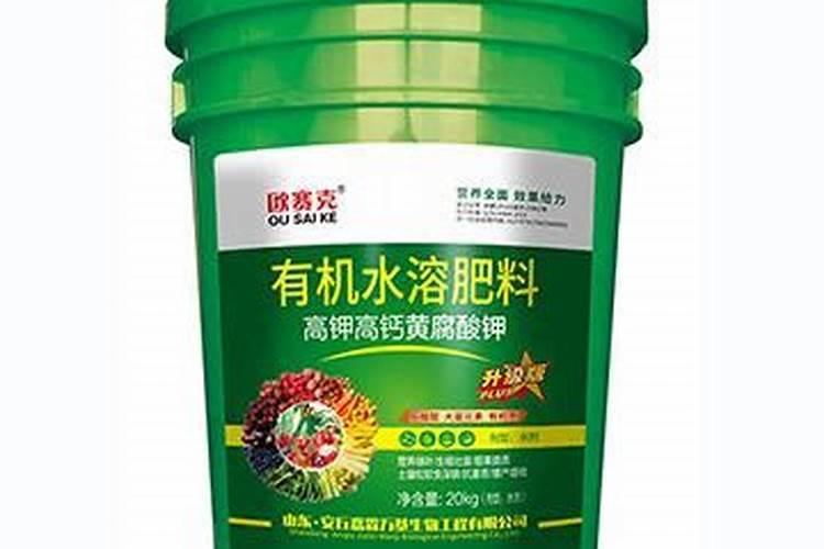 子姜在哪个时间段施肥效果好？