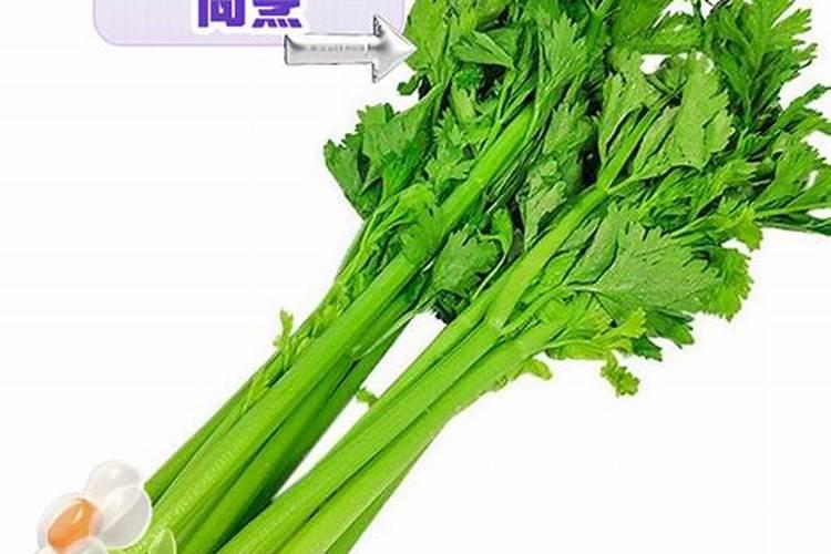 芹菜用什么肥料长得快