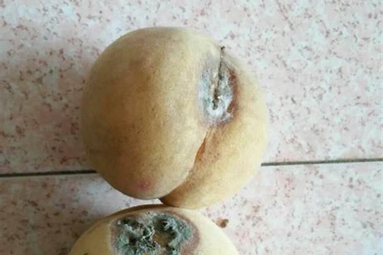 烂桃子要发酵含磷肥吗？