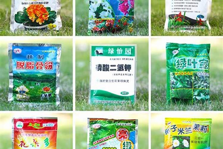 月季花可以用磷酸二氢钾肥吗(盆栽月季施什么肥最好)