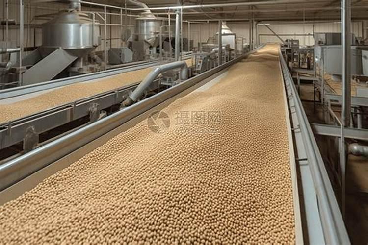 花生什么时候收获