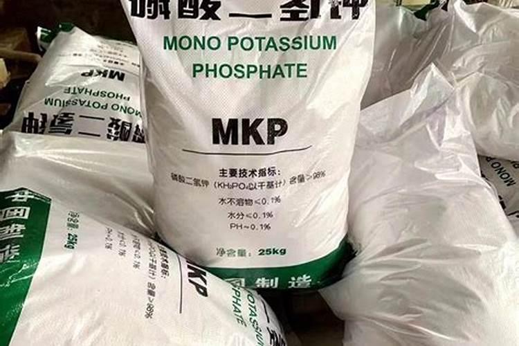 沙漠玫瑰怎样根部膨大