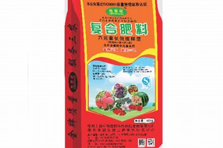 四季海棠怎么施肥大全!