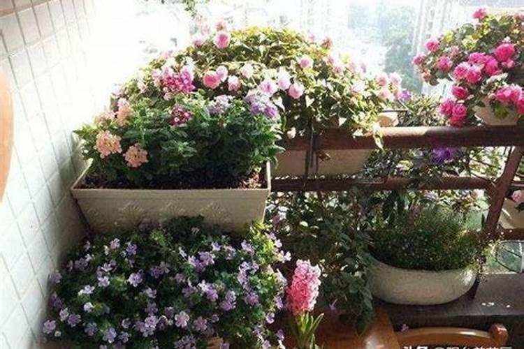 磷肥浇花一次用多少