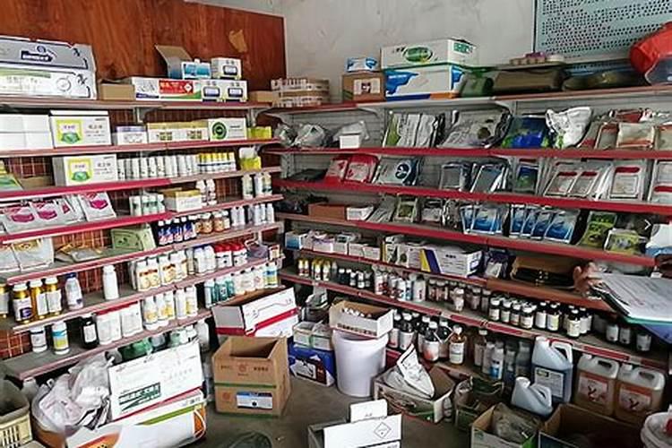 开个种子农药化肥的农资店需要什么证件