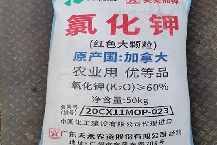 俄罗斯钾肥好还是加拿大的好