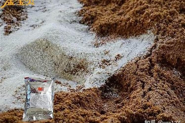 如何让杂草快速腐烂成有机肥