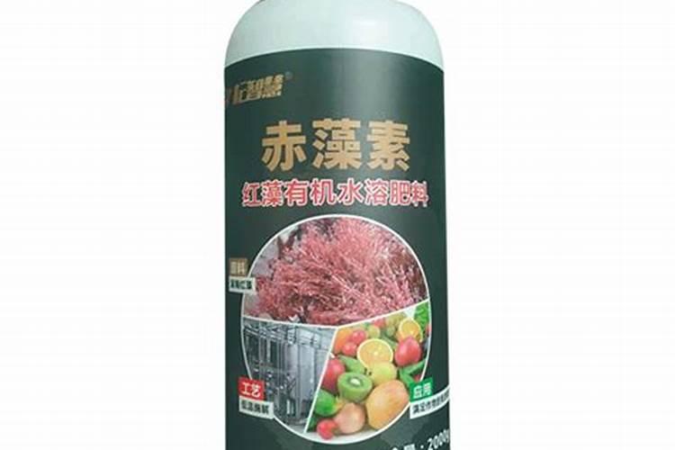 有哪些措施可以促使果子膨大