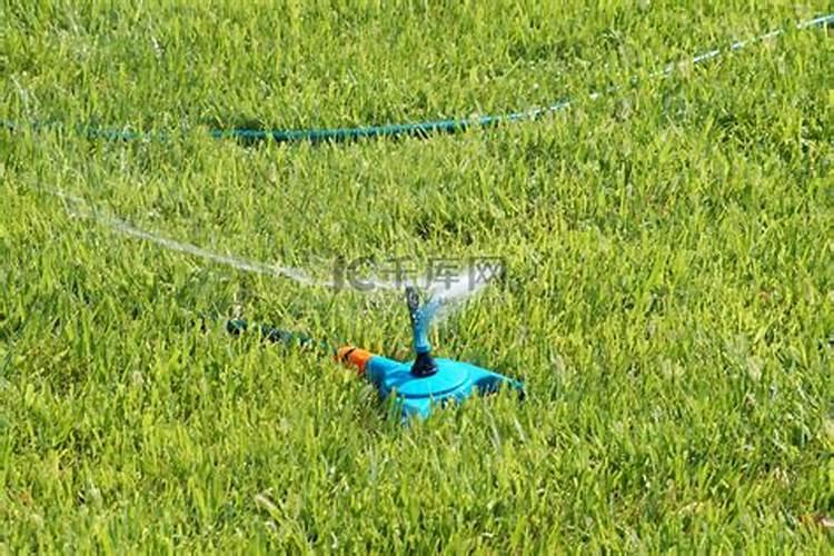 硫酸铵水溶肥什么季节使好？