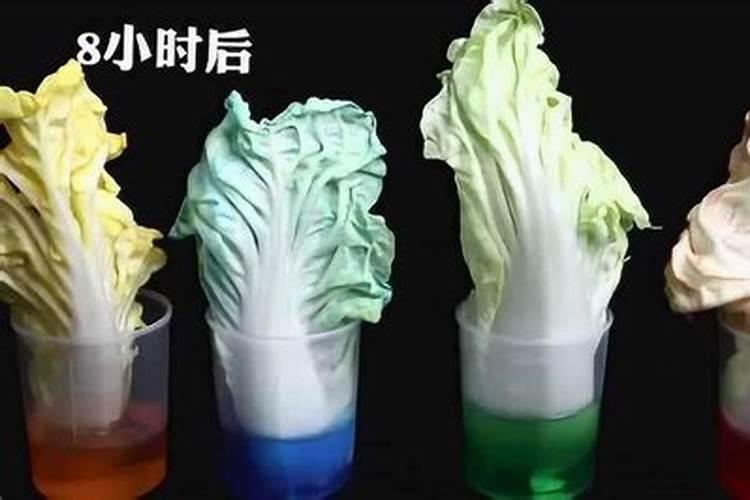 李子增甜转色期使用高磷低钾好还是低磷高钾好？