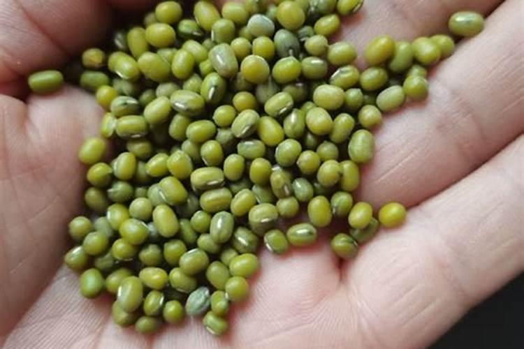 盆景云竹怎么浇水