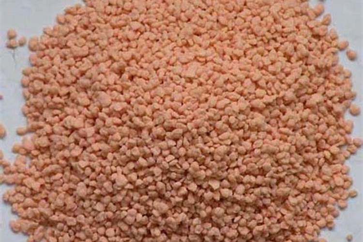 生根最快的肥料是什么呢？怎么使用呢？