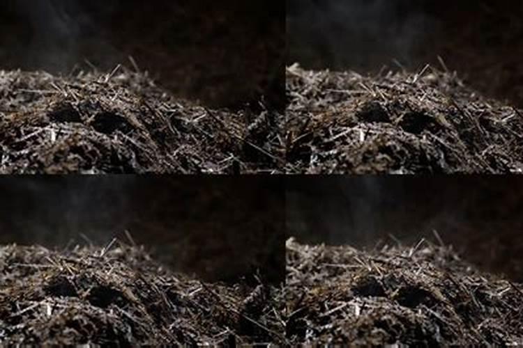 氮肥过多的补救方法