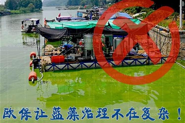 香蕉抽蕾前后的施肥量分别是多少？