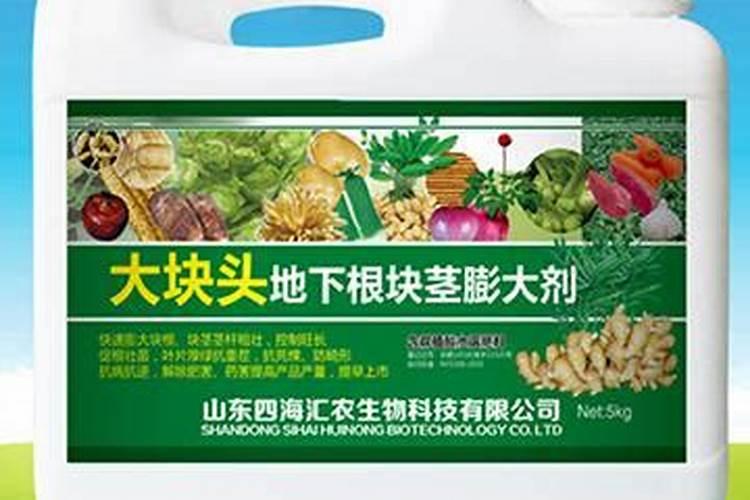 地下根茎块茎作物如何快速膨大？地下果实膨大增长小妙招!