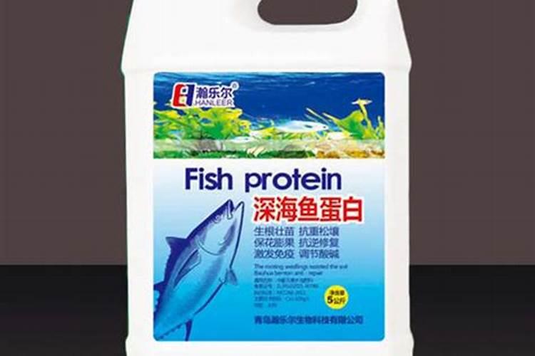 市场买鱼有泥腥味怎么办