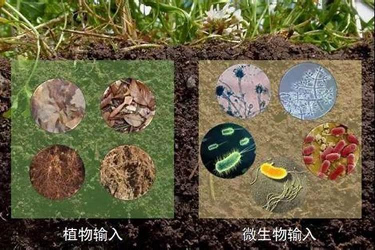 农村的高钾肥是什么肥料