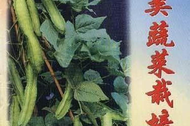 豆类蔬菜如何追肥