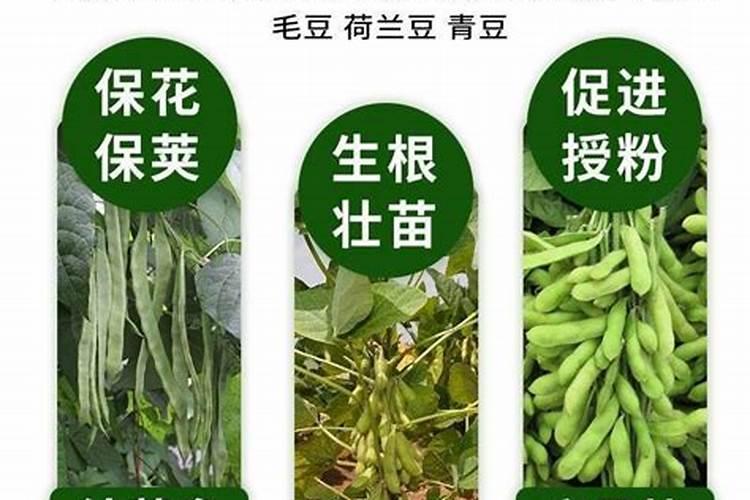 种植豆类用什么比例的复合肥,一亩用多少