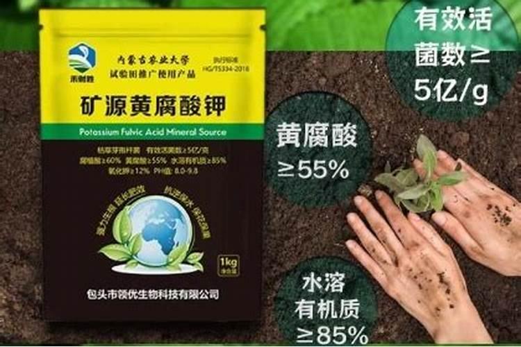 钾肥一亩地上多少