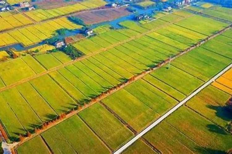 合理施用钾肥需要注意什么